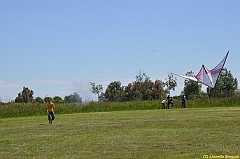 Venice kite festival_0075